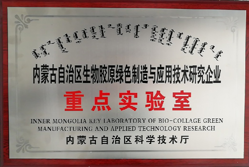 豪门国际官网-钻营健全,你我一路成长