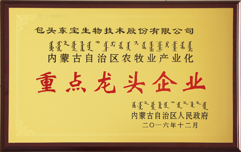 豪门国际官网-钻营健全,你我一路成长