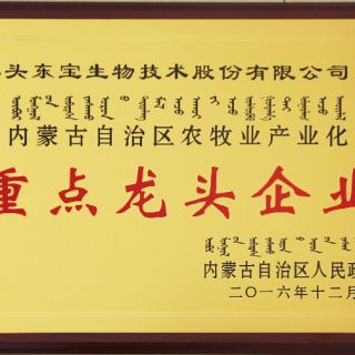 豪门国际官网-钻营健全,你我一路成长