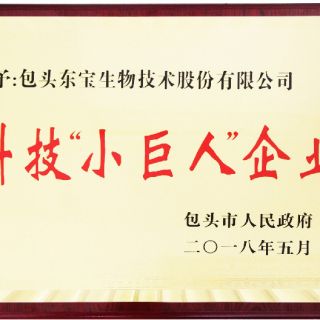 豪门国际官网-钻营健全,你我一路成长
