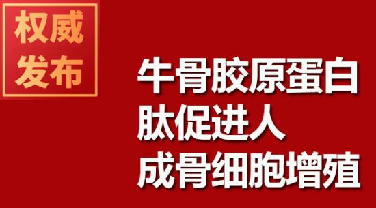 牛骨胶原蛋白肽推进人成骨细胞增殖